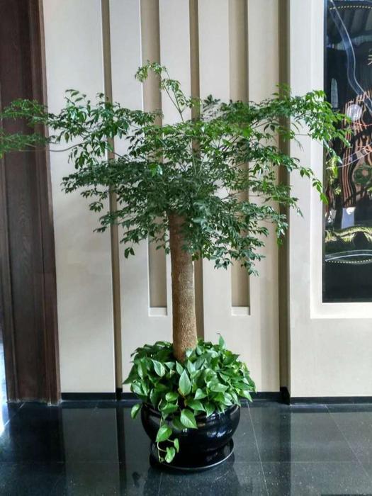 e:图片收藏成功案例金融街听湖小镇售楼处微信图片